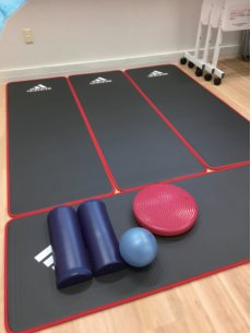 ストレッチポールやバランスボールなどの健康器具